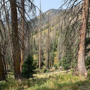 Meet your Posher, Rita ann